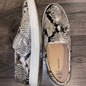 Snakeskin Steve Madden style shoe